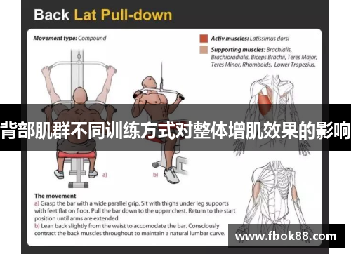 背部肌群不同训练方式对整体增肌效果的影响